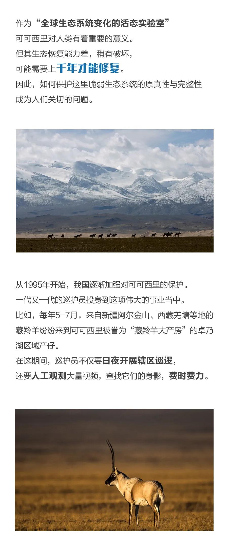 海康威视以科技“驻扎”，守护三江源可爱生灵(图2)
